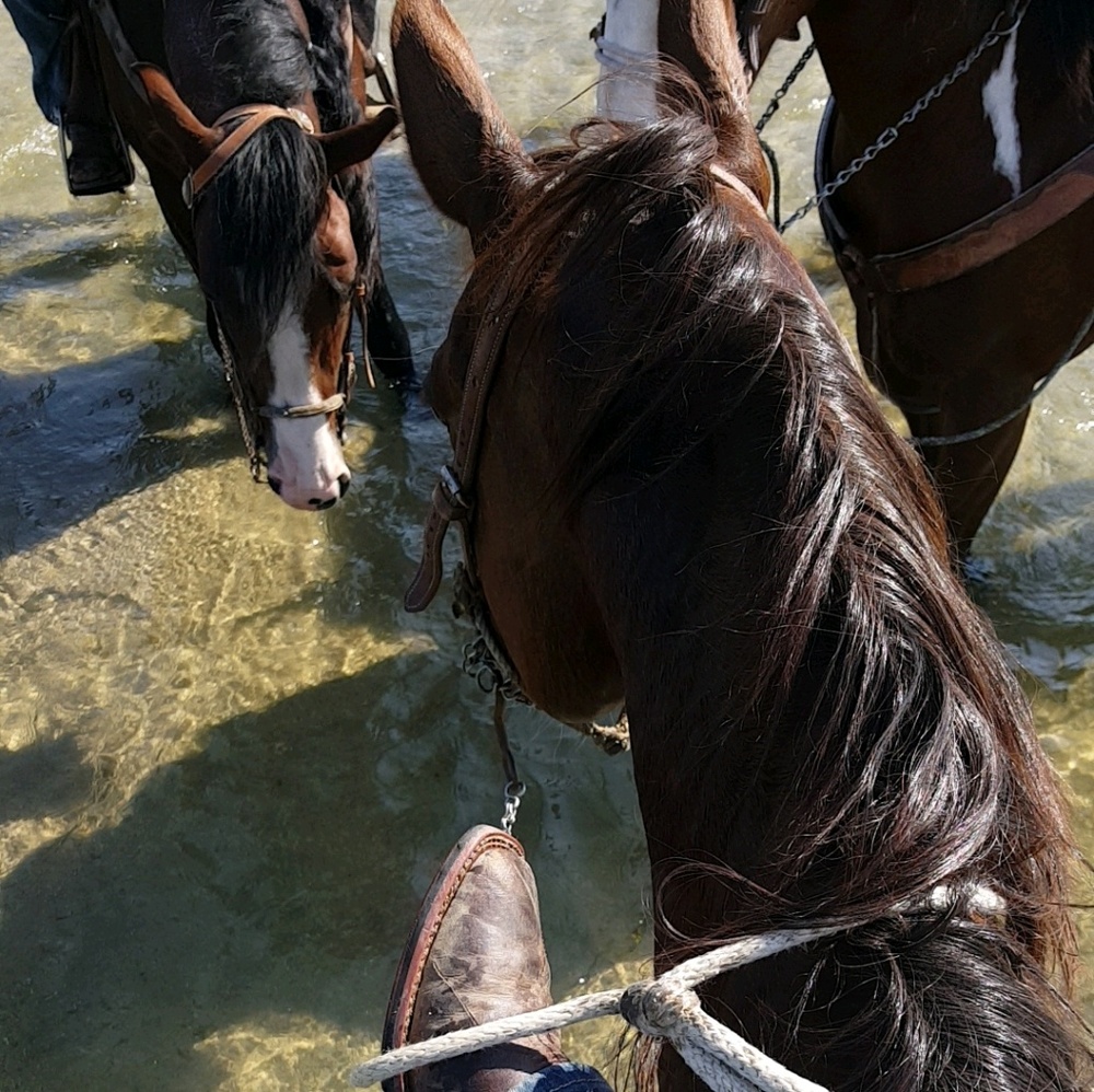 Meet your Posher, Christy